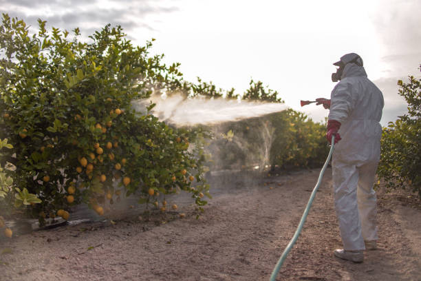 Best Flea Control Services  in Monarch Mill, SC