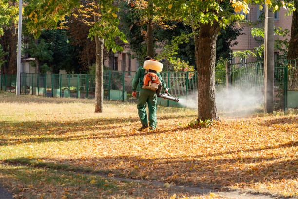 Best Affordable Pest Control Services  in Monarch Mill, SC