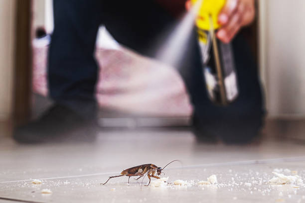 Trusted Monarch Mill, SC Pest Control Experts