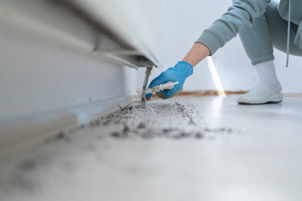 Best Emergency Pest Control  in Monarch Mill, SC