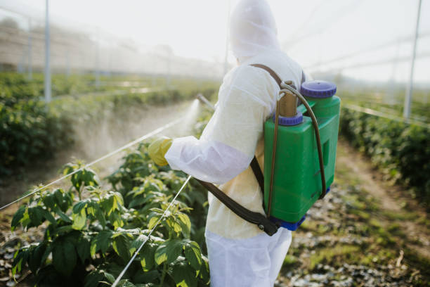  Monarch Mill, SC Pest Control Pros